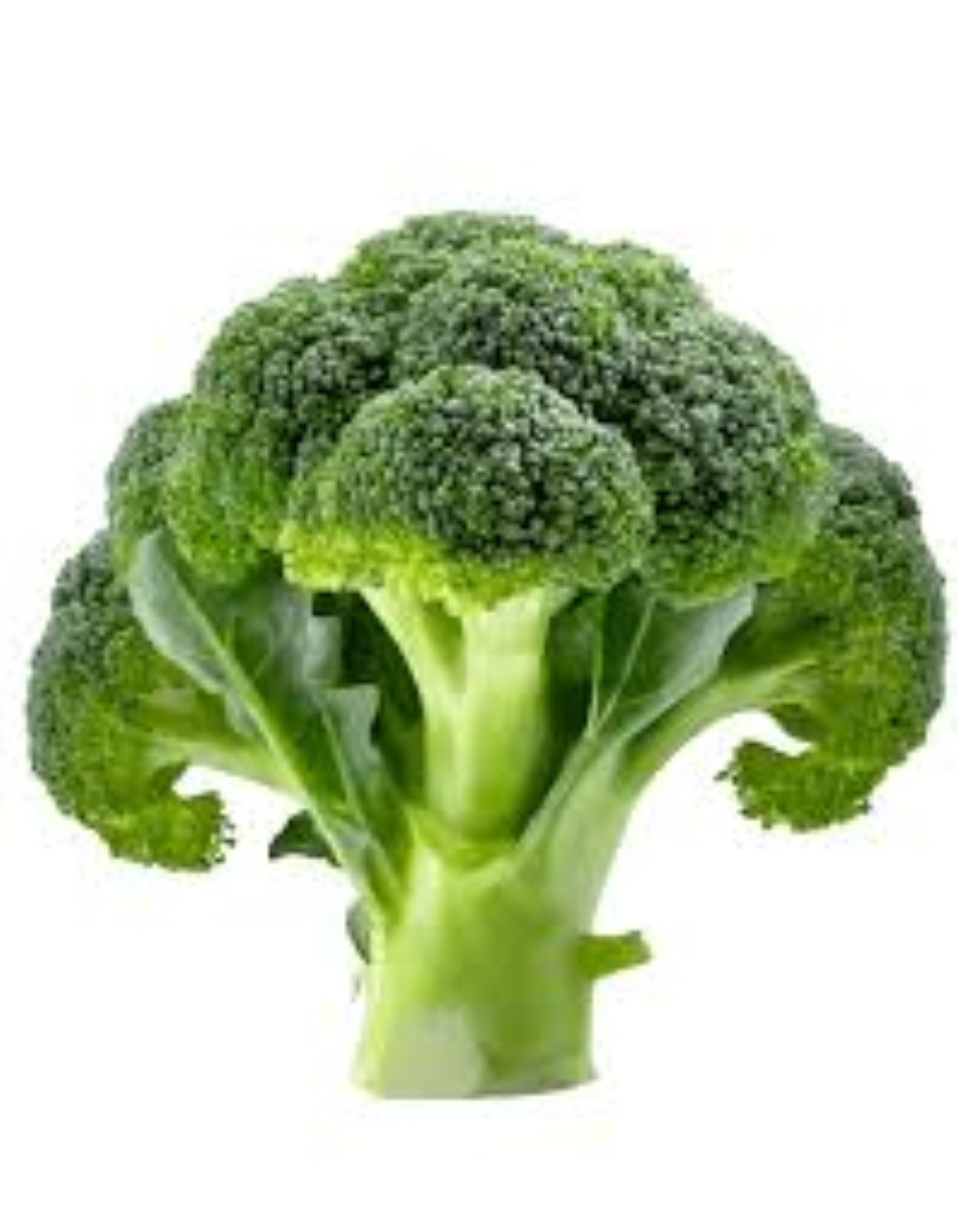 FRESH BROCCOLI